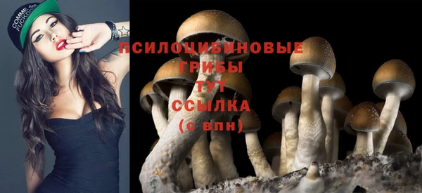 MDMA Абинск